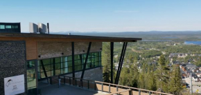 Hotel Levi Panorama & Levi Chalets